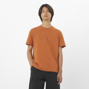 Salomon – Camiseta de manga corta de hombre SALOMON BIG LOGO Salomon. | El Corte Inglés — Fitness y Deportes